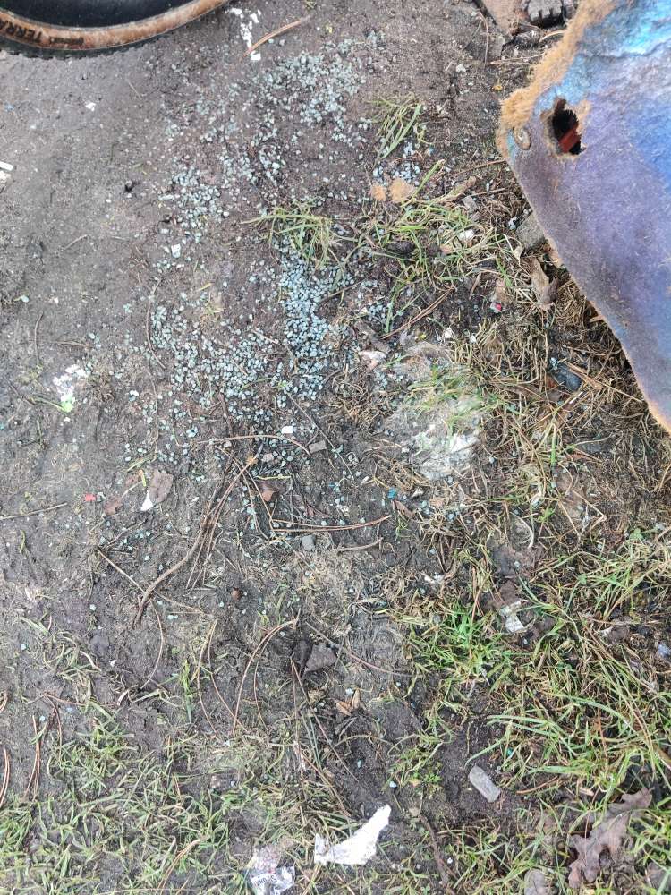 Giftköder-Gift (Schneckenkorn?)-Profilbild