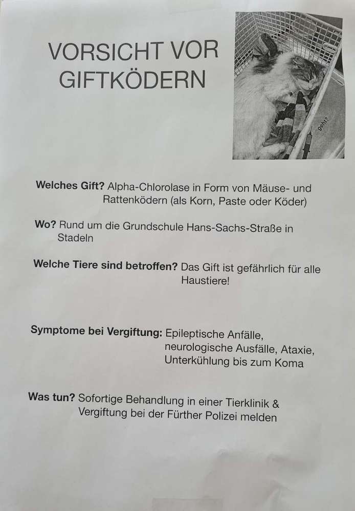 Giftköder-Giftköder-Profilbild