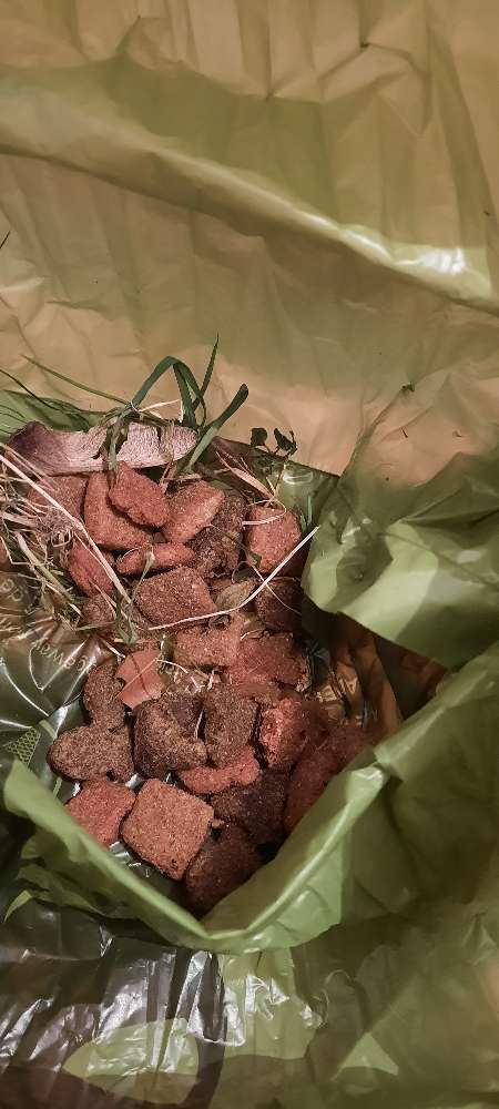 Giftköder-Giftköder / Futter-Profilbild