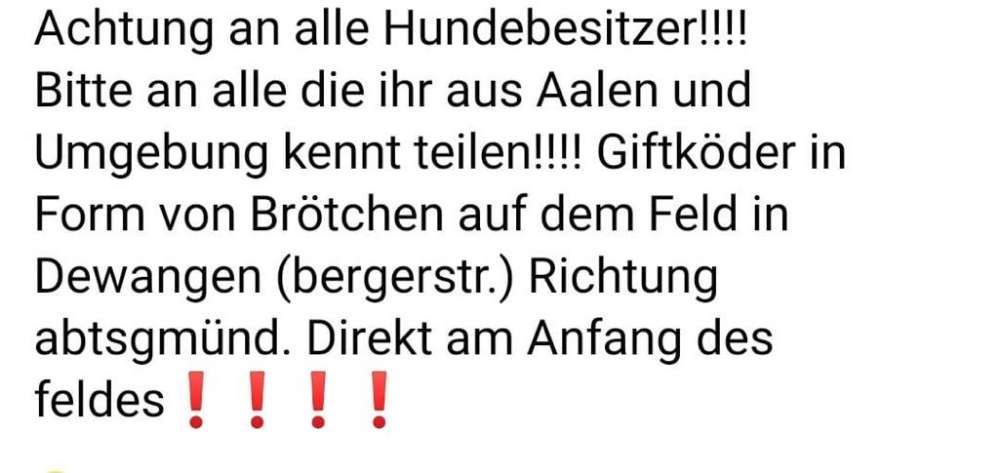 Giftköder-Giftköder in Form von Brötchen-Profilbild