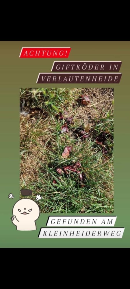 Giftköder-Giftköder in Verlautenheide-Profilbild