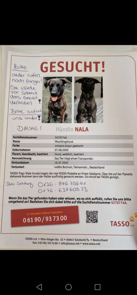 Suchmeldung-Nala-Profilbild