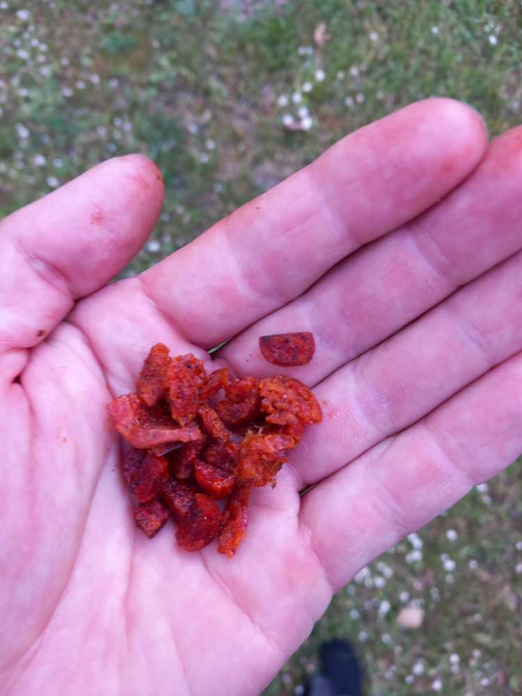 Giftköder-Giftköder evtl-Profilbild