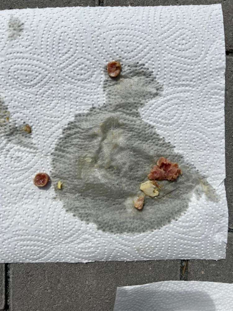 Giftköder-Giftköderwarnung-Profilbild