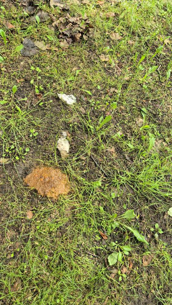 Giftköder-Achtung Giftköder-Profilbild