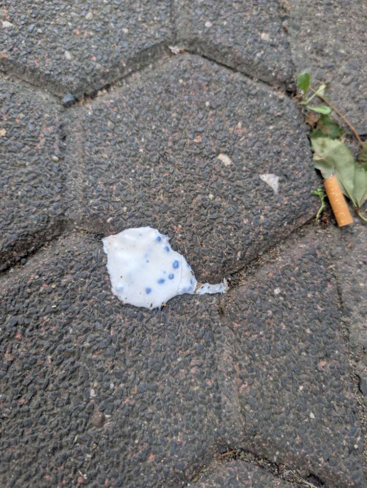 Giftköder-Verdächtiger Köder-Profilbild
