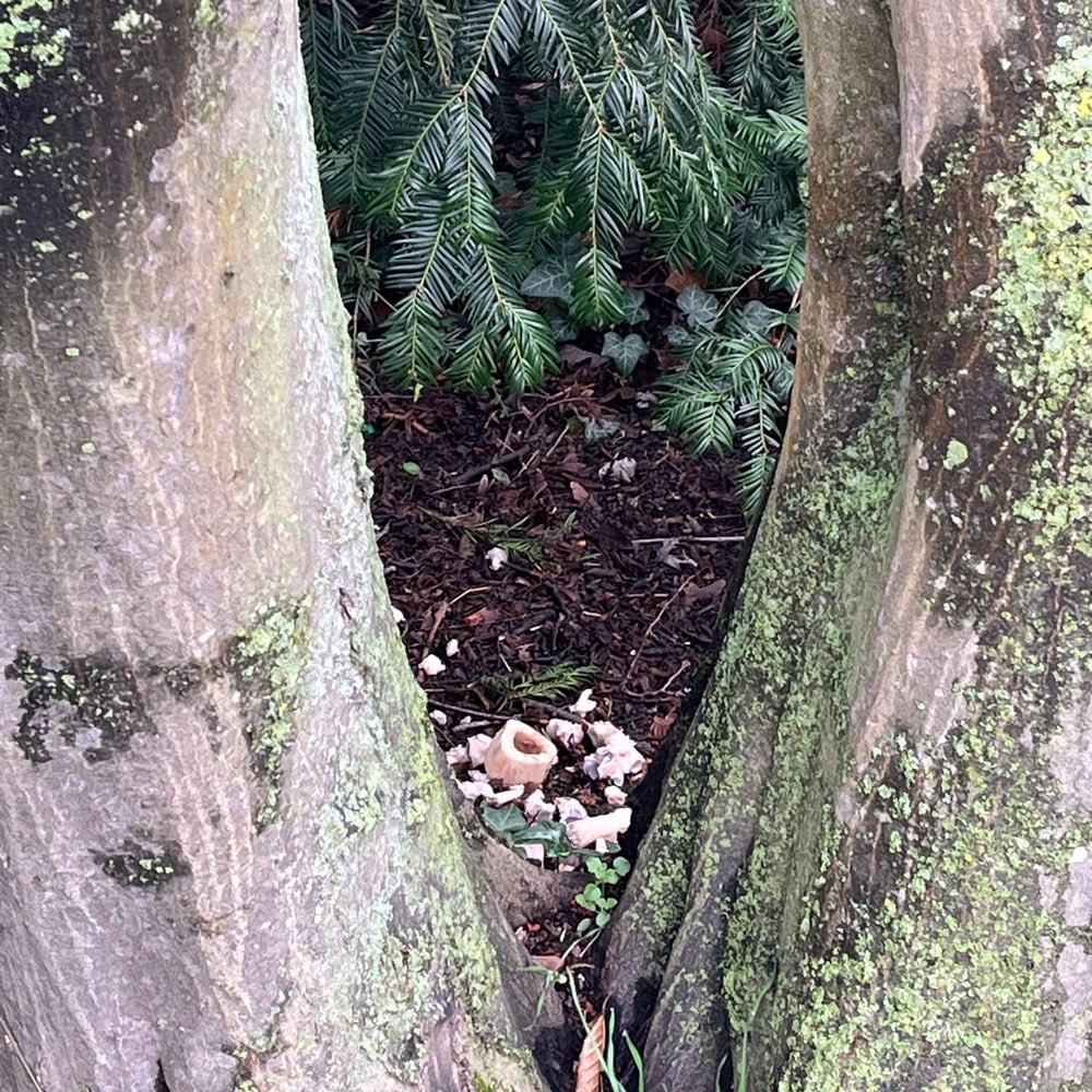 Giftköder-Knochen und Fleischteile-Profilbild