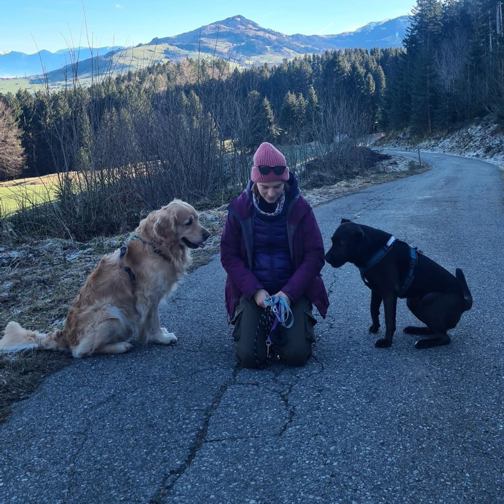 Hundetreffen-Hunderunden mit Verstand-Profilbild