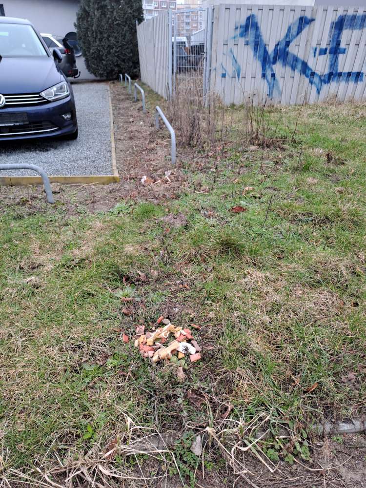 Giftköder-Eine Menge Hundeleckerlies auf der Wiese-Profilbild