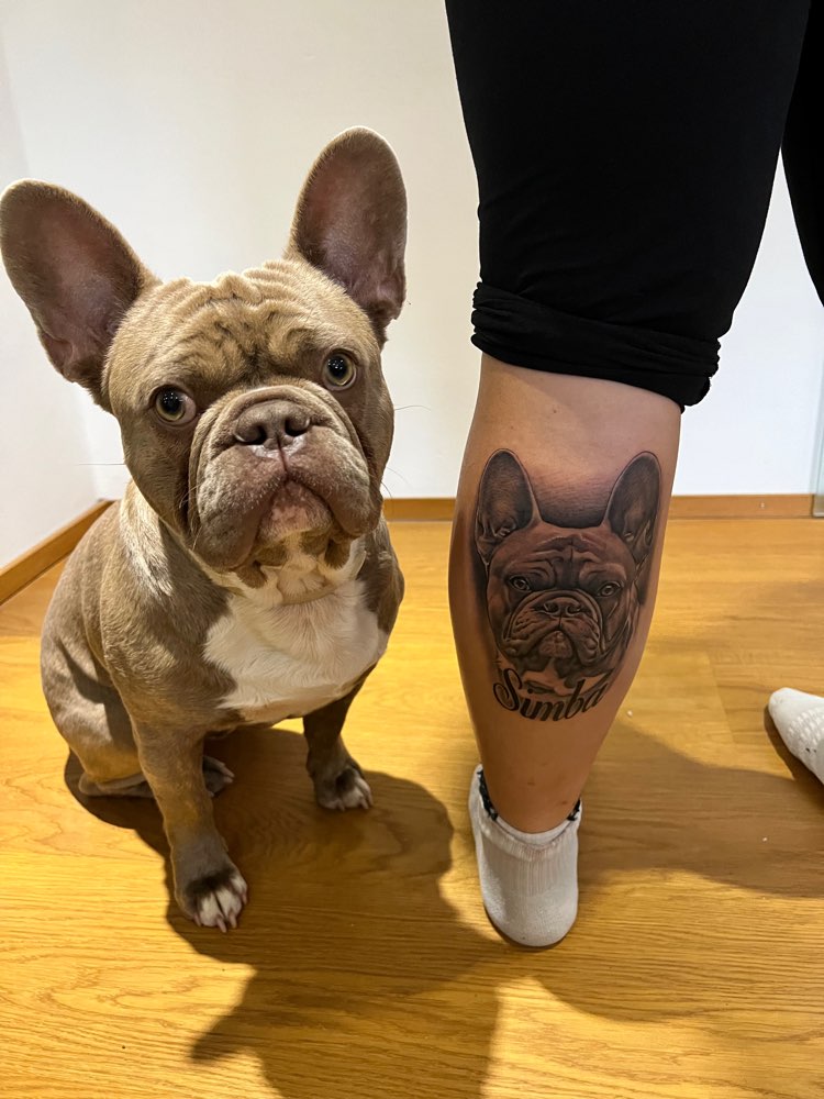 Hundetreffen-Französische Bulldoggen Vaterstetten-Profilbild