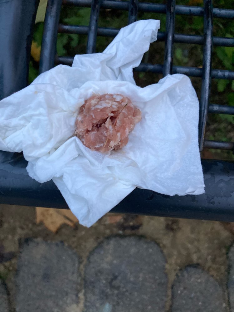 Giftköder-Mögliche Giftköder-Profilbild