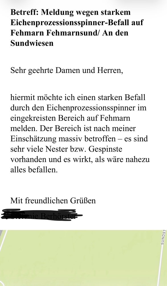 Giftköder-Eichen-Prozessionsspinner-Profilbild
