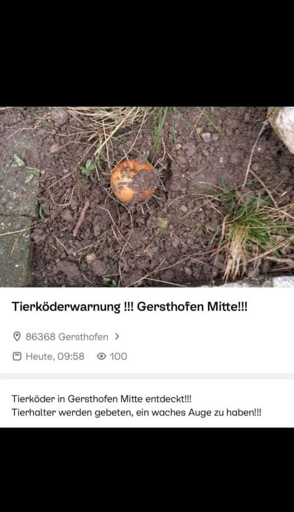 Giftköder-Giftköder Mitte-Profilbild