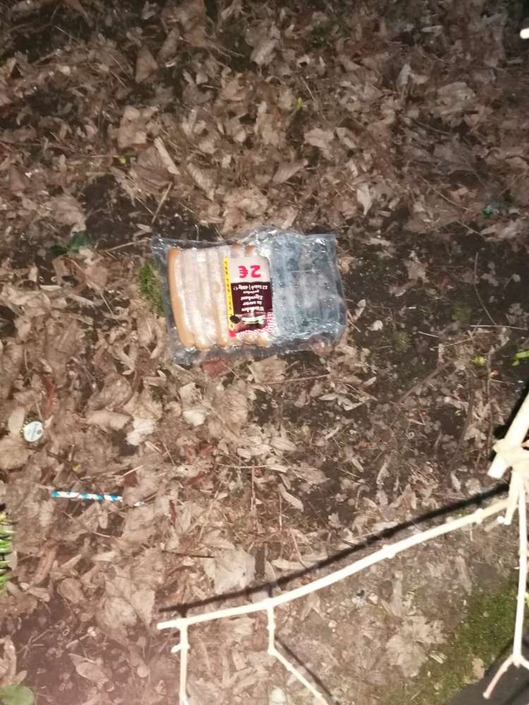 Giftköder-Würstchen-Profilbild