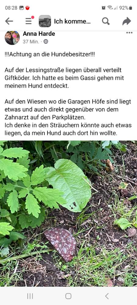 Giftköder-Giftköder-Profilbild