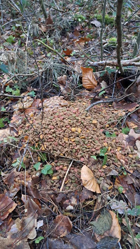 Giftköder-Nassfutter und Trockenfutter gefunden-Profilbild