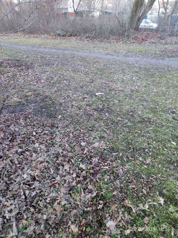 Giftköder-Flügel (Hähnchen?) Stephanskirchener Str-Profilbild