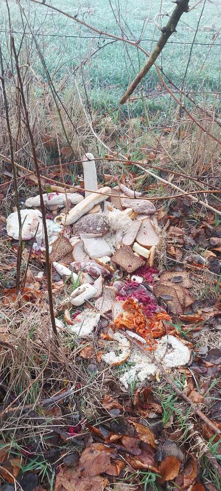 Giftköder-Altes Brot und Fleisch-Profilbild